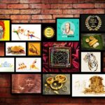 Celebrate Diwali the earth-friendly way with Amala Earth